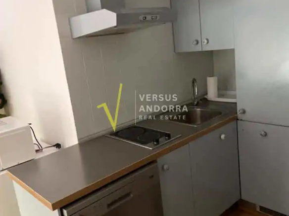 Apartament moblat de lloguer al centre d'Andorra la Vella amb garatge inclòs.