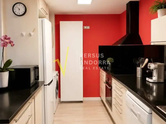 Pis venda Ordino terrassa jardí