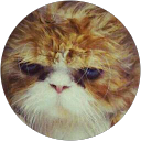 Juana Garro profile picture